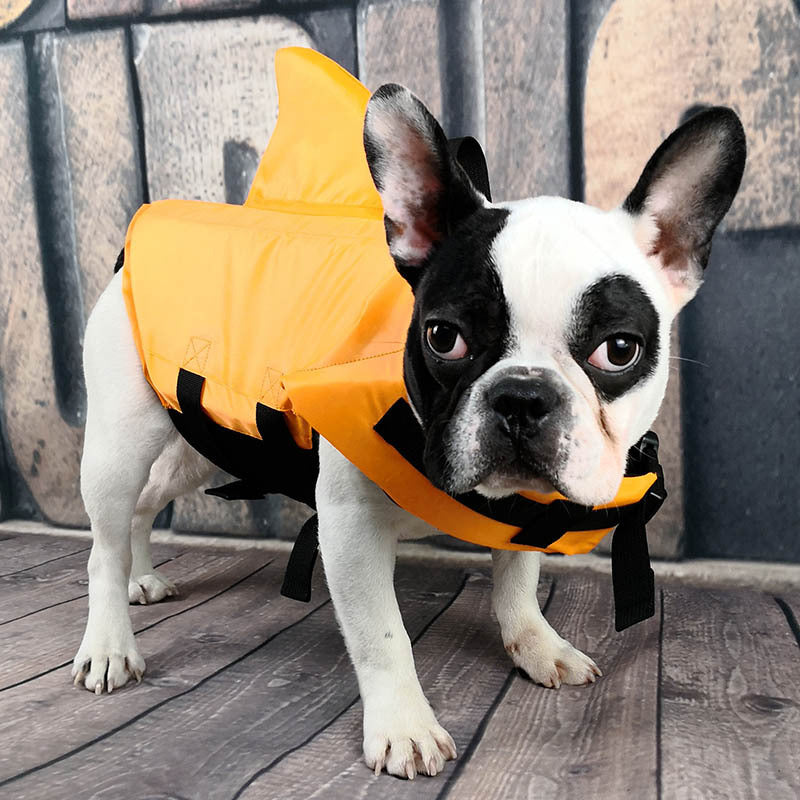 Such A Cute Shark Swimming Vest