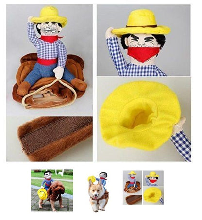 Such A Cute Cowboy Dog Costume