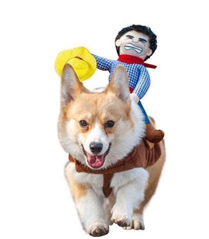 Such A Cute Cowboy Dog Costume