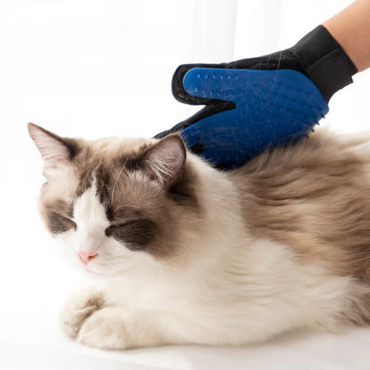 Such A Gentle Glove - Serenity For Your Pet
